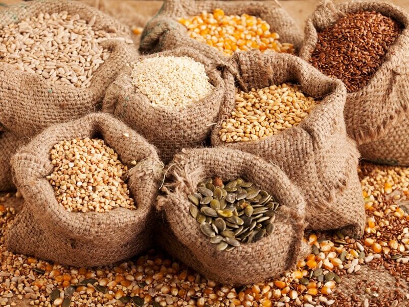 Tầm quan trọng của việc mua hạt giống chất lượng