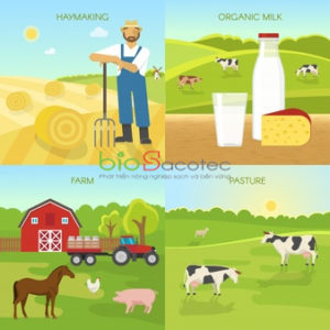 agriculture flat compositions 1284 34254 1
