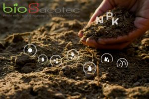 hands men are holding soil rich all elements needed grow plants have digital icons included 38663 638