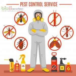 pest control service illustration 1284 8981 1