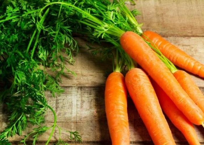 Cách trồng cà rốt đơn giản tại nhà